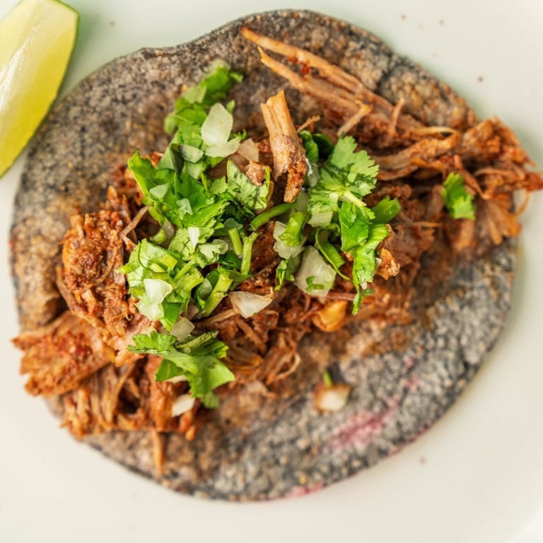 Delicious Birria Options